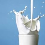 Milk